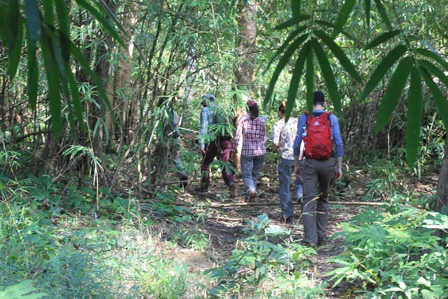 Phnom Penh to Kirirom National Park: E-Bike, Hike & Ecotourism Adventure